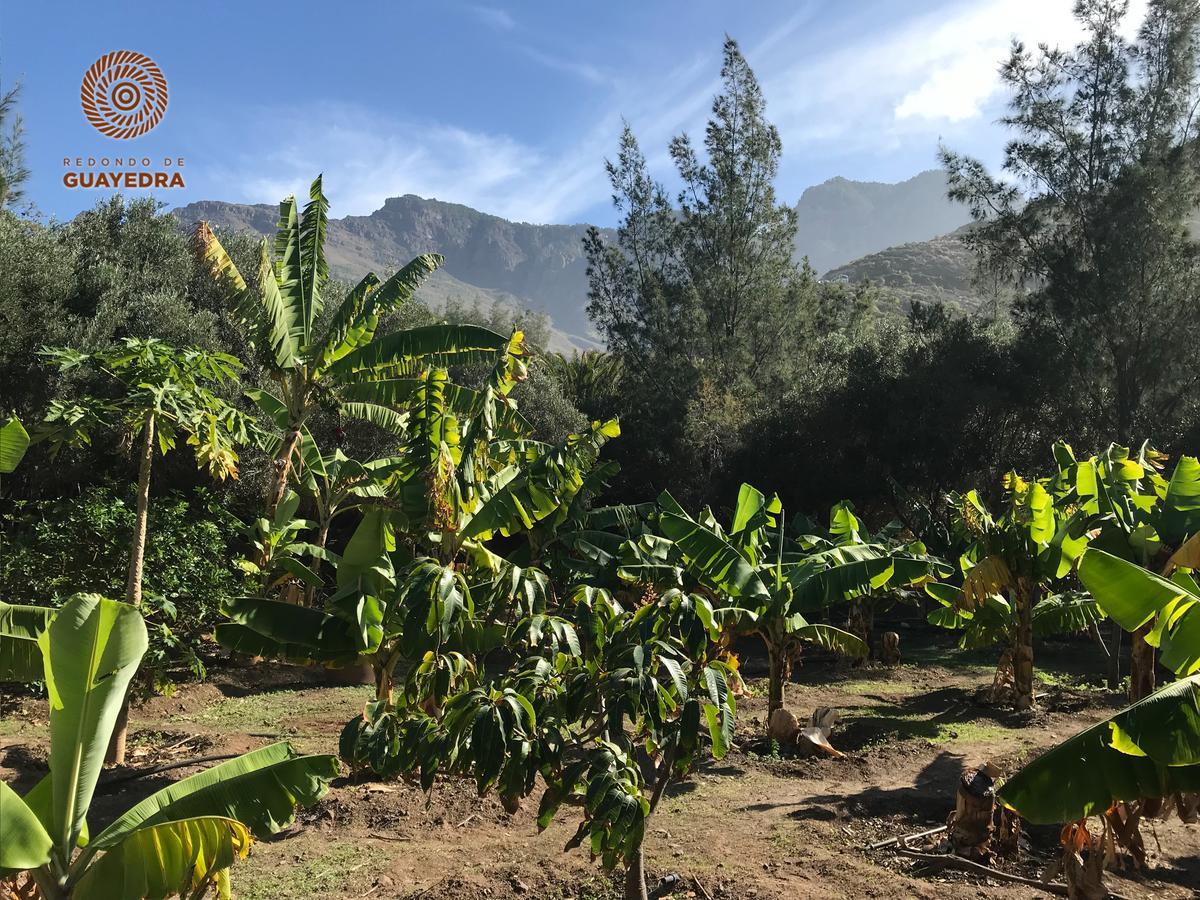 Redondo De Guayedra Guest House Exterior photo
